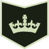 Crown icon in the middle of a black and light green octagon